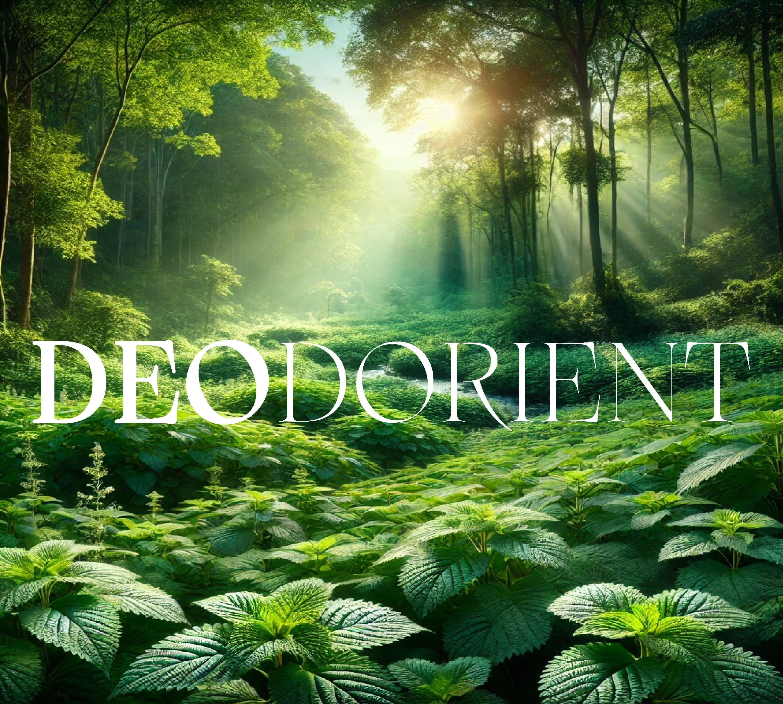 Deodorant pierre d'alun