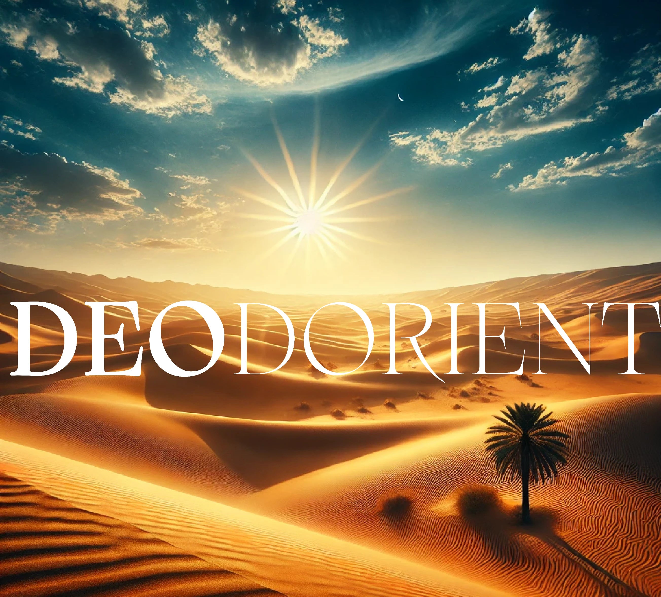 Déodorant Pour Homme