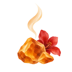 Ambre